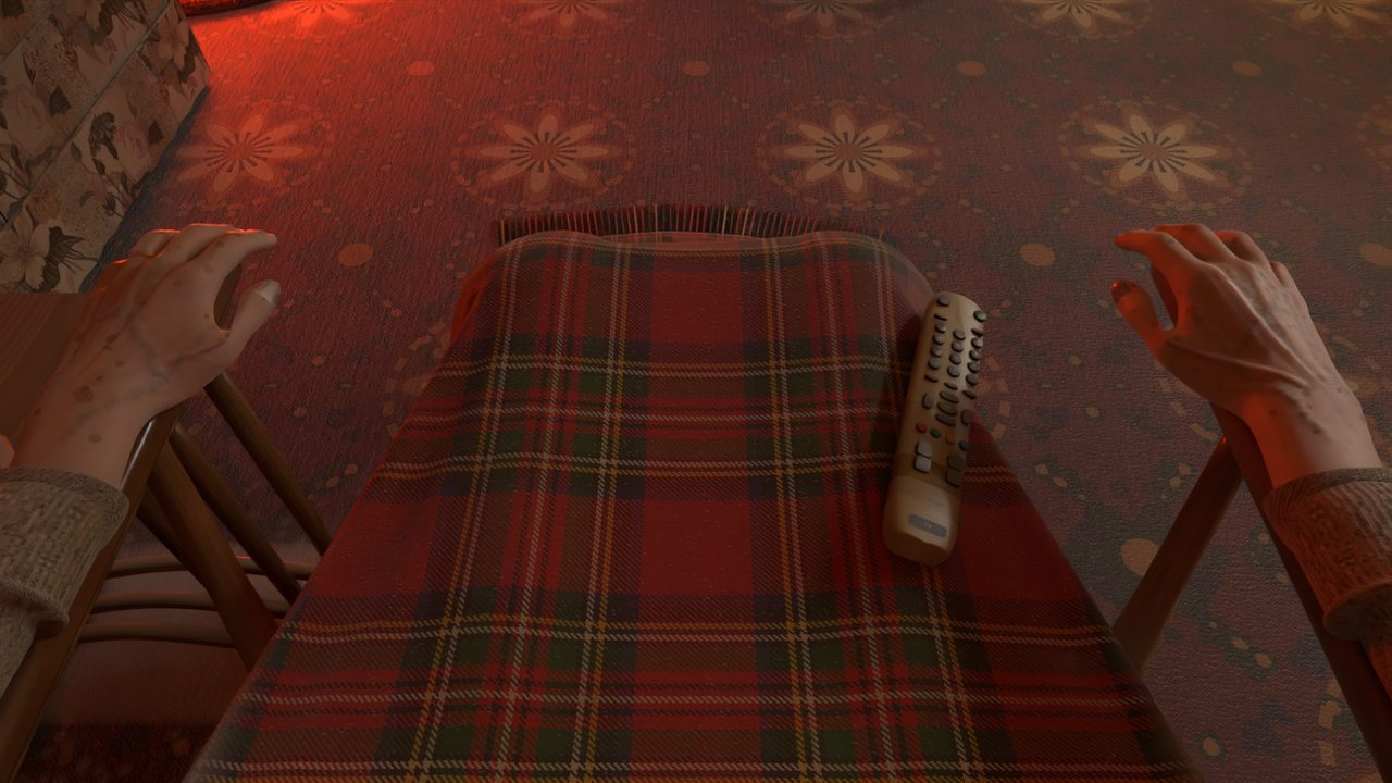 Looking down from the armchair: two elderly hands resting on the chair arms, a tartan blanket over the knees, and a television remote on the blanket.